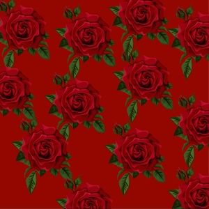 Meet your Posher, Shaylee